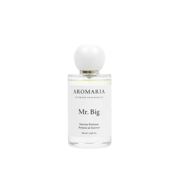 Mr. Big - Room Spray 100 ml