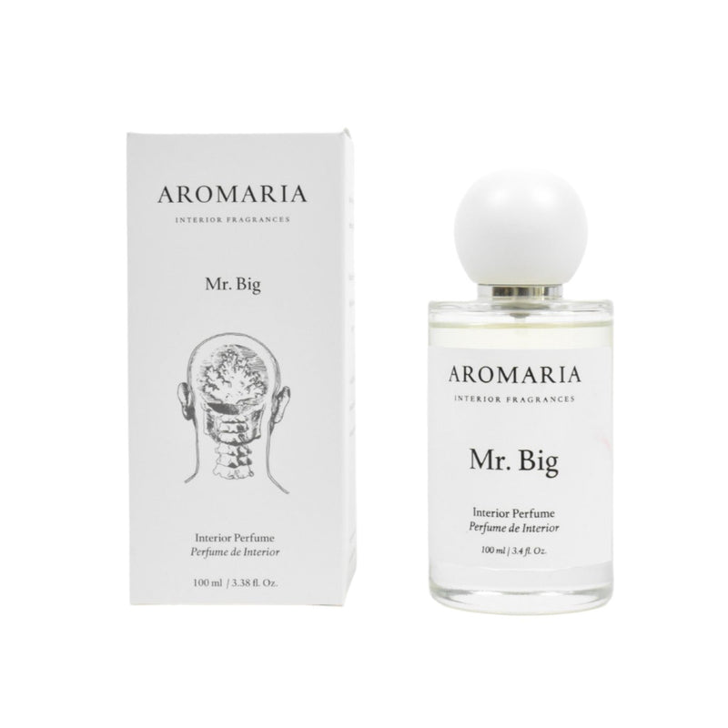 Mr. Big - Room Spray 100 ml